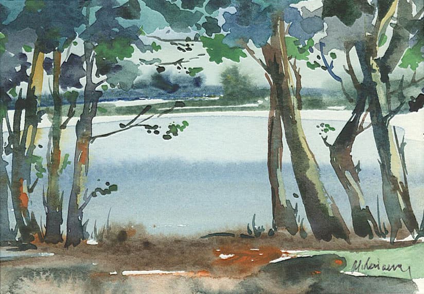 A lake is in Bat-Svishenam, 250x150